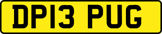 DP13PUG