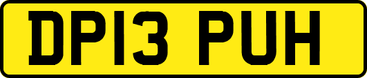 DP13PUH