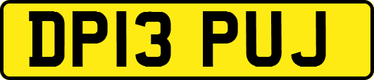 DP13PUJ