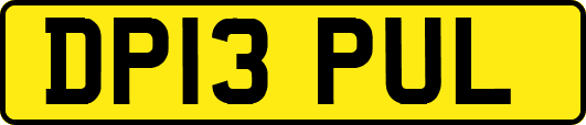 DP13PUL