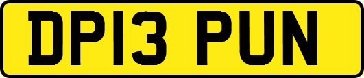 DP13PUN