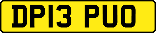 DP13PUO