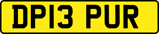 DP13PUR