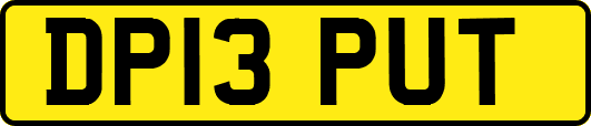 DP13PUT
