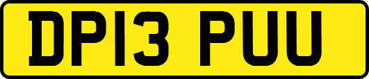 DP13PUU