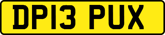 DP13PUX