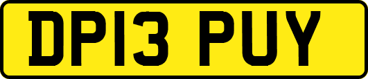 DP13PUY