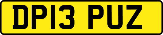 DP13PUZ