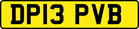 DP13PVB