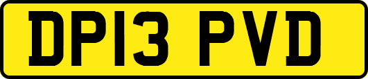 DP13PVD