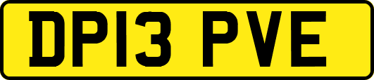 DP13PVE