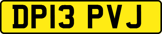 DP13PVJ