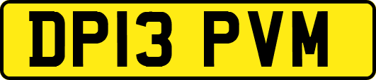 DP13PVM