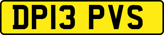 DP13PVS
