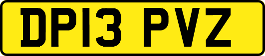 DP13PVZ