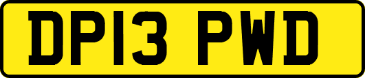 DP13PWD
