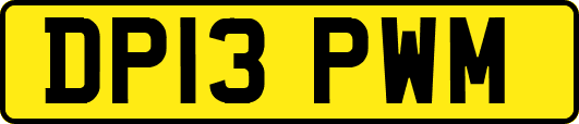 DP13PWM