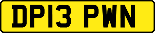 DP13PWN