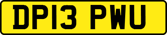 DP13PWU