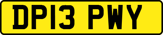 DP13PWY