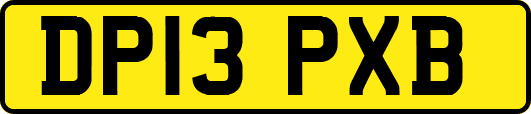 DP13PXB