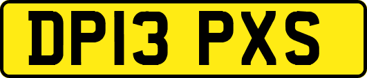 DP13PXS