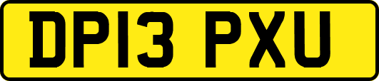 DP13PXU