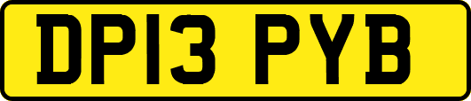 DP13PYB