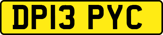 DP13PYC