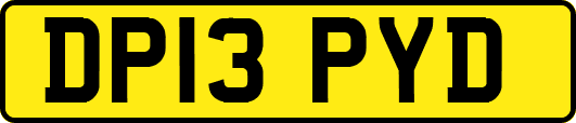 DP13PYD