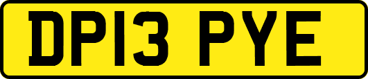 DP13PYE