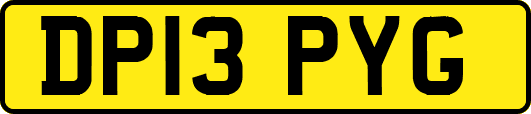 DP13PYG