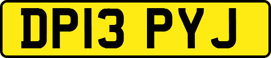 DP13PYJ