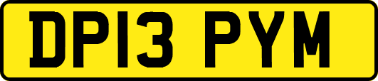 DP13PYM