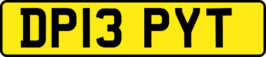 DP13PYT