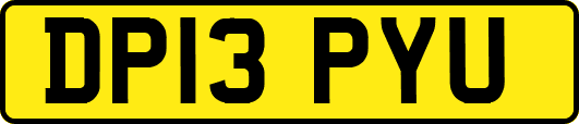 DP13PYU