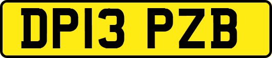 DP13PZB