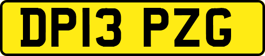 DP13PZG