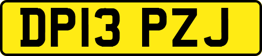 DP13PZJ