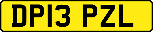 DP13PZL