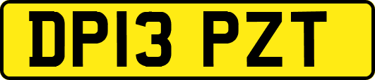 DP13PZT