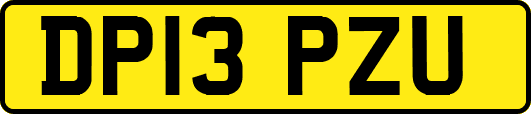 DP13PZU