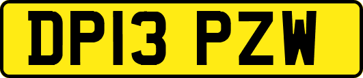 DP13PZW
