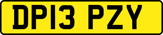 DP13PZY