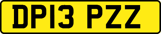 DP13PZZ