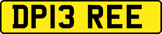 DP13REE