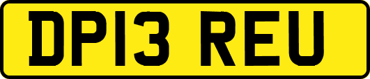 DP13REU