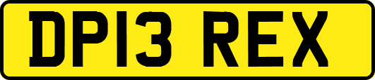 DP13REX