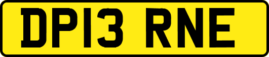 DP13RNE