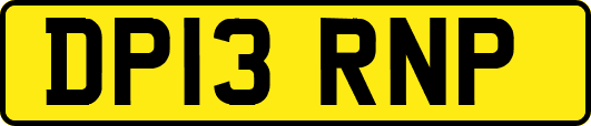 DP13RNP